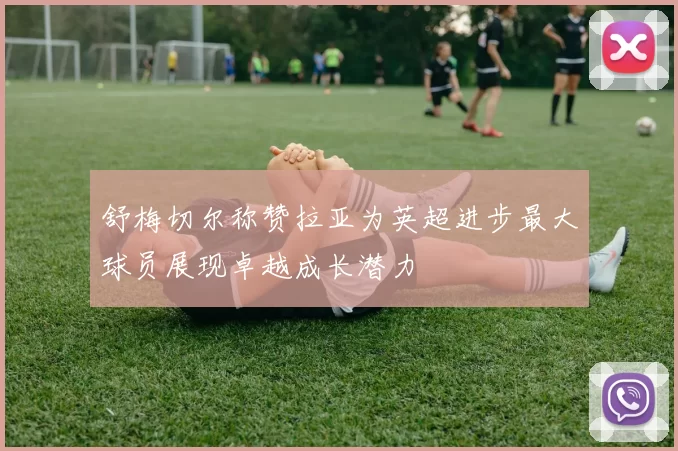 舒梅切尔称赞拉亚为英超进步最大球员展现卓越成长潜力