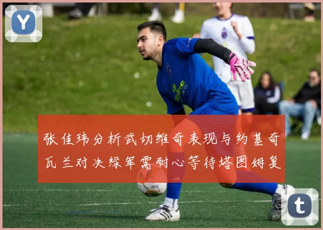 张佳玮分析武切维奇表现与约基奇瓦兰对决绿军需耐心等待塔图姆复出